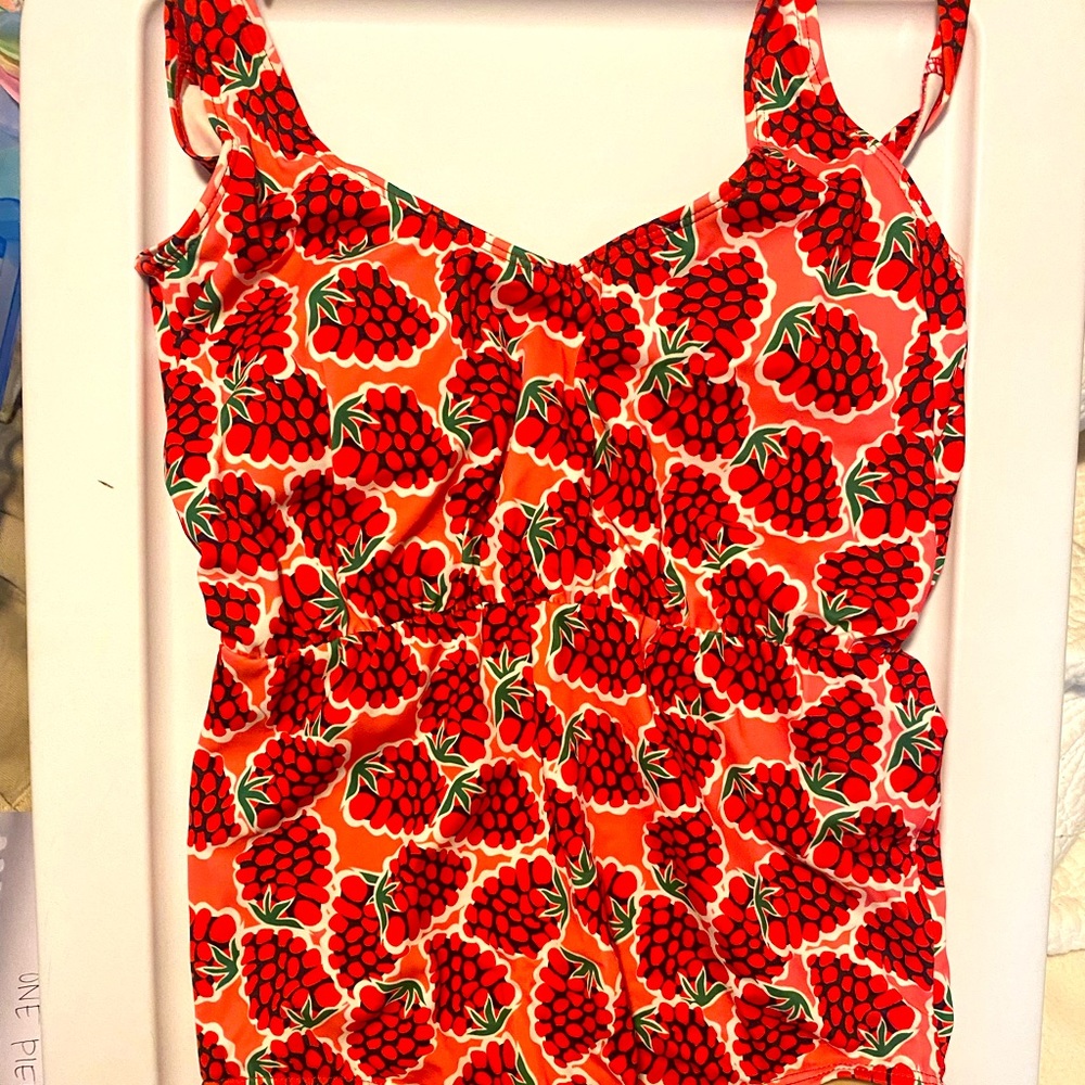 Kortni Jeane Classic One Piece - Raspberry Print